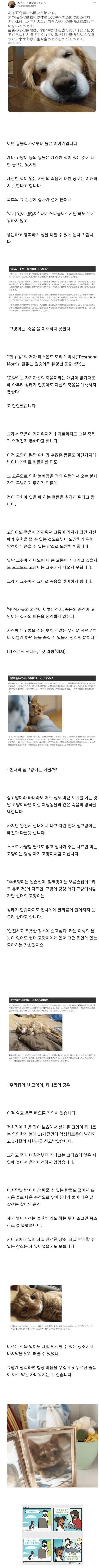 00c681678a803c53f7a2df4d70cc354fb8896fc1313dab6aa2575878eb6045d27b7c16b804a8e3d61637021b9b5445464444d5b8c1df9d49efd2c1dcf038f360