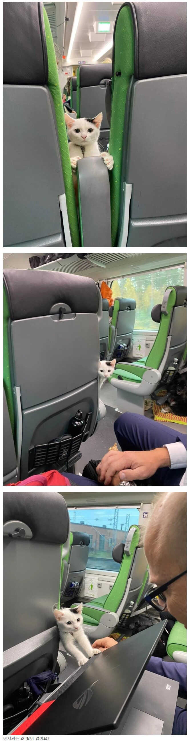 00ca5698bb8015c07f8173aa376abe93f4131e48800c4ed4e7c17b5835c655adb1cc5112122e75302aa9680b5292f517041bb204c83840c5bc991255ae12c92b