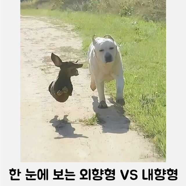 00d97ef1745ceb5b0055d5f08537e9c33cfe8bece6902942511d887b45807f6d37e9078211991fa8b59dbc5427632ff030ab01b779bb00adb94a67e245b61fee