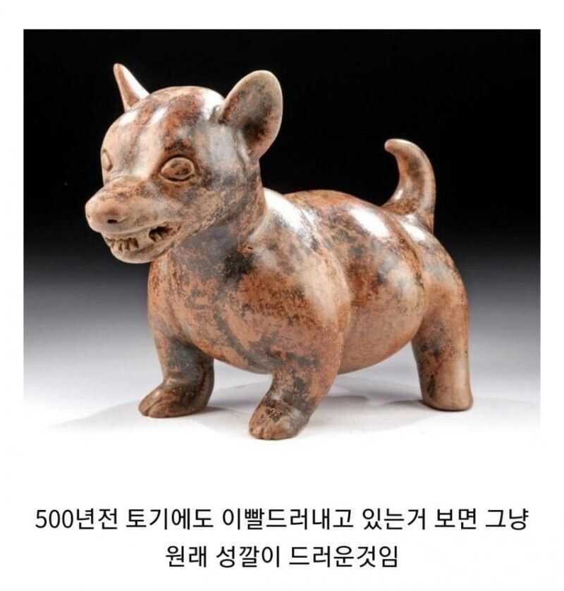 0162a65ddf4f365c25ec423b32d0ce4ba5643de9cc5fa35fd51475444083083b9d0334dc98218b599e46e2c81a7c4fe8540d16ed6b765cab040658f0797b31cc