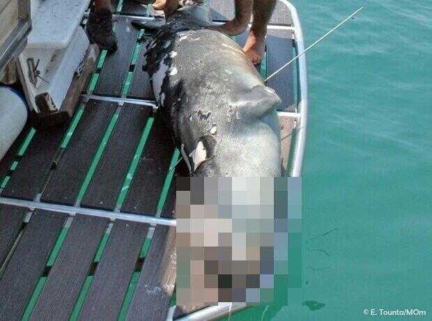 01ddc337629e36abcdcf93c0d8bb228268f334151b218c33a0bbc763d8ae9ee2b47ed5def1deb0a6629ac03b38c07291ef115148d34c87e5f805d07c15a40e1f