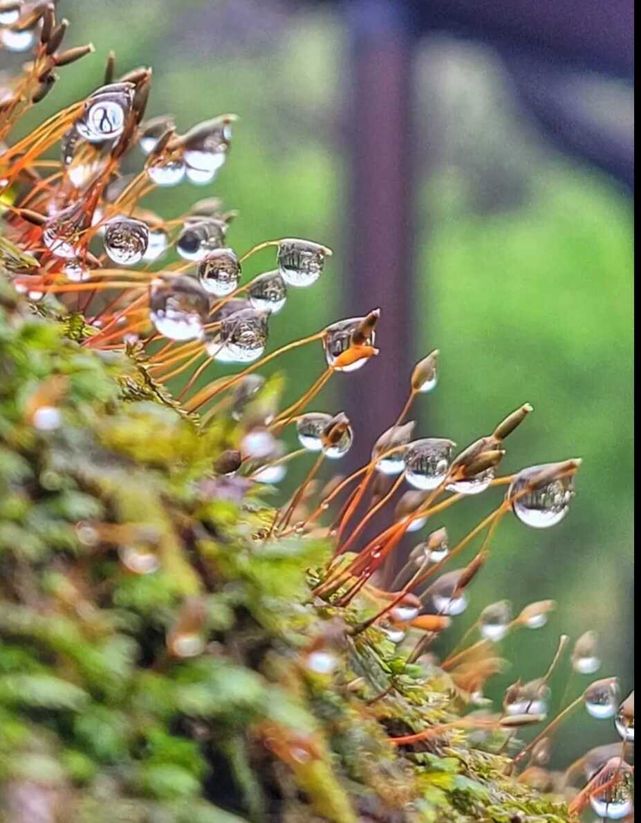 01f2f6dbacc682e3ca91e9204af52bc7502a0ba7dd1131767367f27d16ac9a49731062baade2334b407601705f6938bef180d053bd9c6b932ed8eac3a21b7910