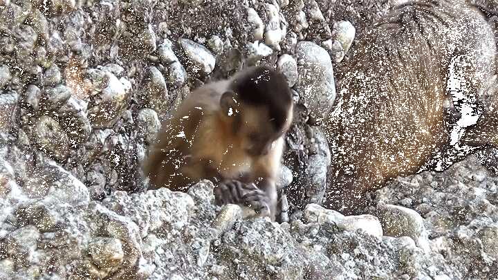 021e18d47e8cd0de2d1f1ad8bb62317217a075a9d191f63a2ee6547bfc42aa67f07ae1f661af0ce4a3498e7ac2205db5a83335ee0033f98f0894741719b5e03e