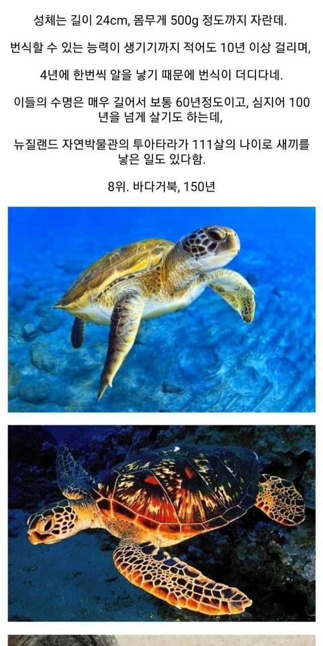 024eb16ea29035d7ca0e3d90178c08b5930c96110daf2554ed7f224addb2eb2fc28820026e33af79e72a85ca932f36d4b479ce02cc8b69c5bace4d613c49149e