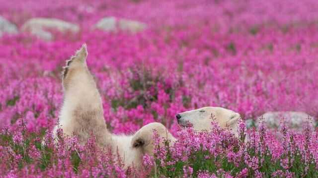 03160af3eb40289ee4bc720003bdb039b631f089b60dba796b1fa7a206bbad651ad16e40658d9dc304891b1690f0bf29e12c2e3fcfba1d0b8ab7c29cbcb3e2d5