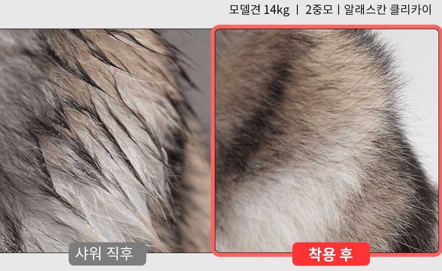 032472cf0560a4fa251539fe39e34407645583fd30c71db88e14bf3756e515e27d9f90017ce9a7d004e10d208a35a13bc3e4a3f31cdc4b92839549cd53904649