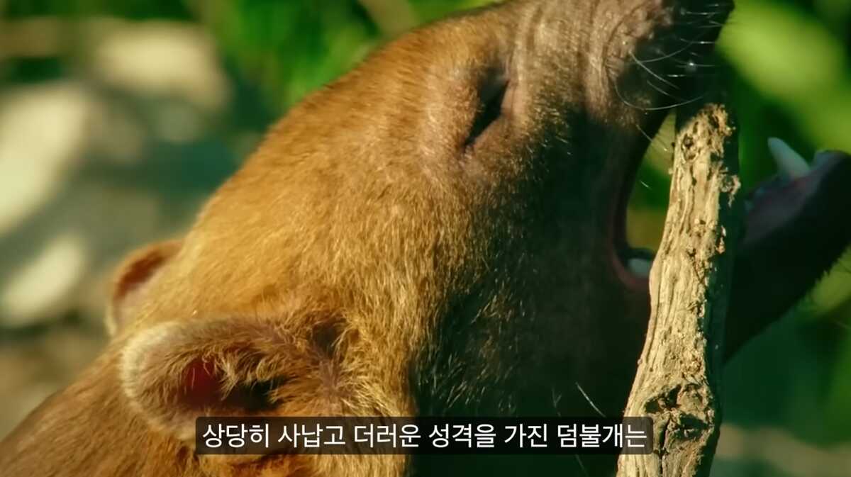 035fed801661c1b6a03ad1ab7100f4c0317b8a365fc29c20ac9f3fb95100f7bf2653594befc34605479bf0ff60b9019993d7b9f2a1c48ca9de6db754dd727907