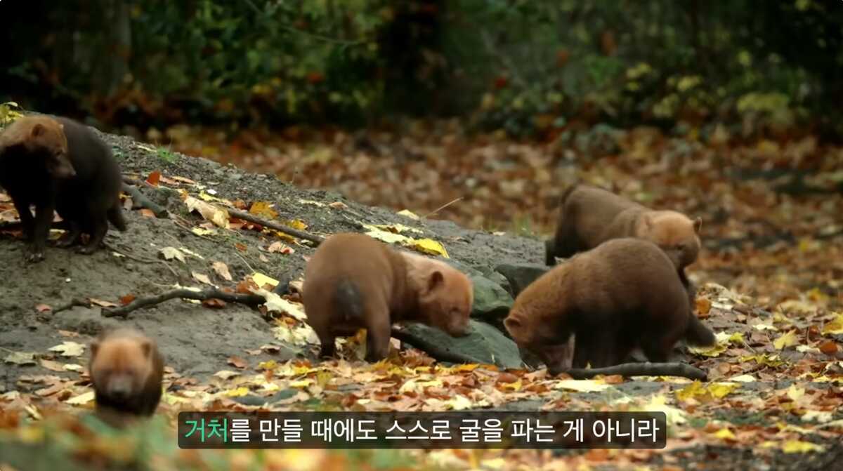 05f84b0f706ddeb66dff5585e551cf1eef55f4912b8c34cd8cc022ae1b98e631ab0f9821c38cb85fd394673b4dc168b4026b409c3247c488b6cfc17557755bdc