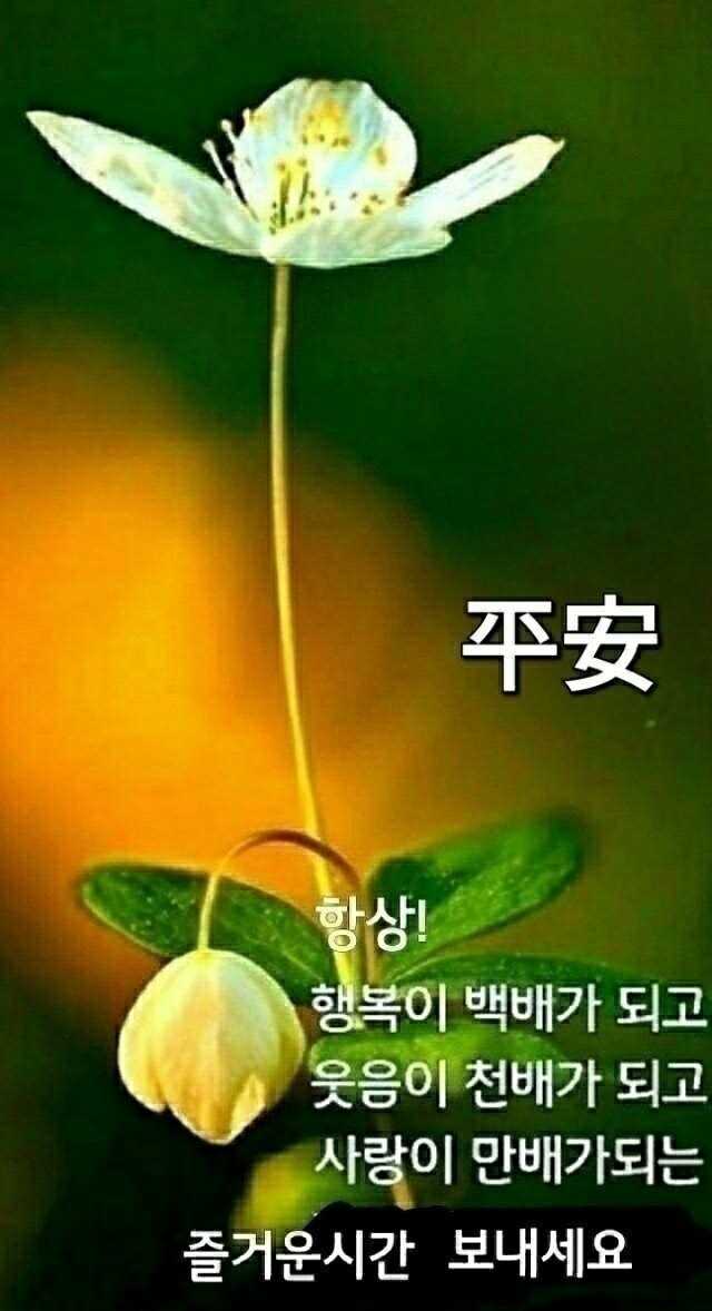 06f23c84f395dcd73464259bb2892b8e18f571731ea189a57160cdad1202fe1e29698db73e818815c419f761b3ce08c3bc56823ae1d737c9979ea1464cd1335f