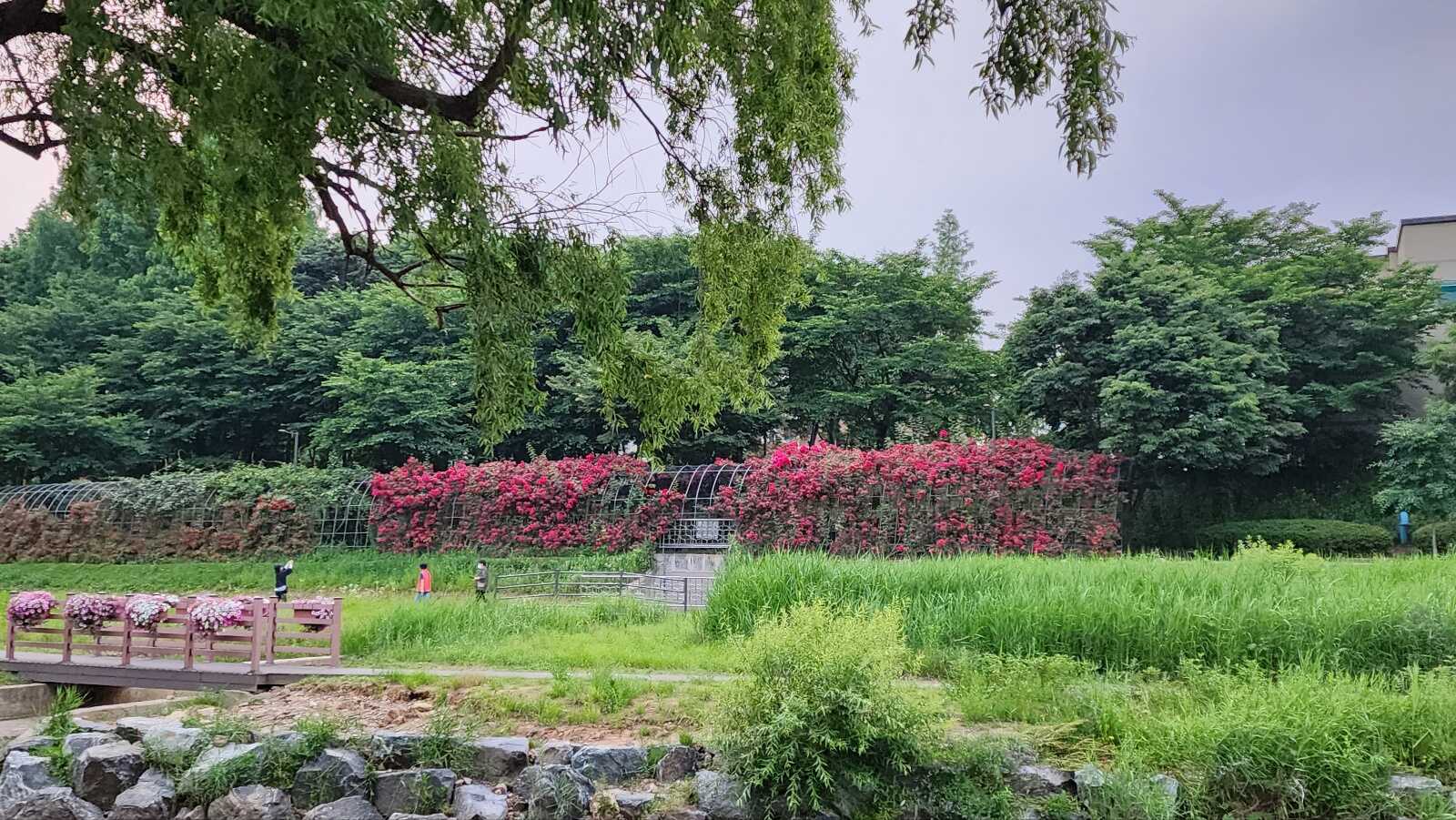 090c69069708cf7eac4db1ad6446360bdeb5c031e782b8ada91fd2587136f7276dced4d702ad82e55109eb7aa509e2732a704f812dc72d531a8c6f0f1b769840