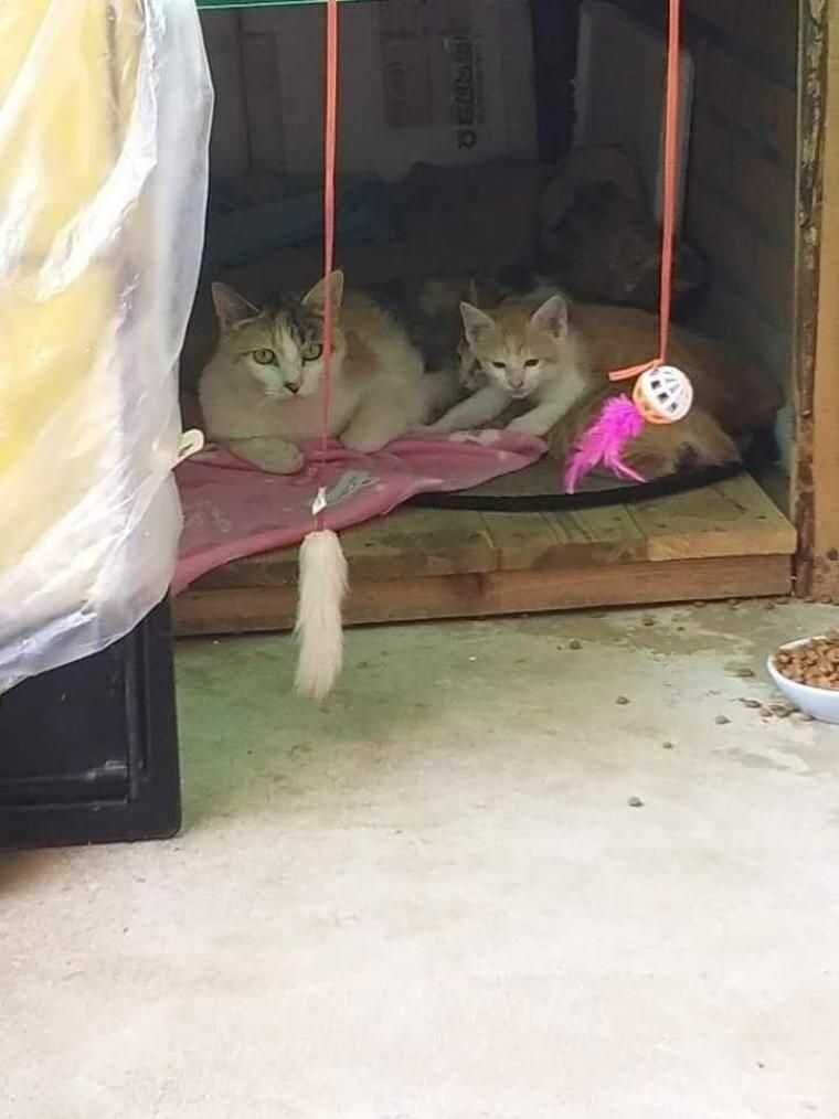 09e5a2024cf9915e4f827db3d2fee46d3d930ced01a83a63aa6dfcb1f00a84aeaae6bc2be02b3bc24acbd6b4ee3c95e67a8e0b84d0f962ebd1c62d13fdf13d5c