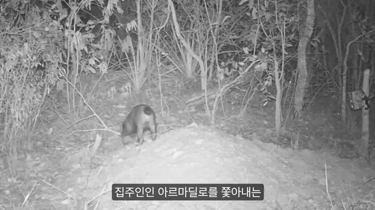 0a01da27e6de33c715e2afd00eac4cfe05ec61b8e9f02060e3a26baa40564cd3b9e85554d5c4a2de3806ab716563abb37bb578f025b9eee4ca65bf938689fcf8