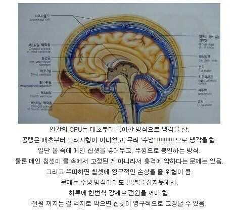 인간이 CPU 를 냉각하는 법