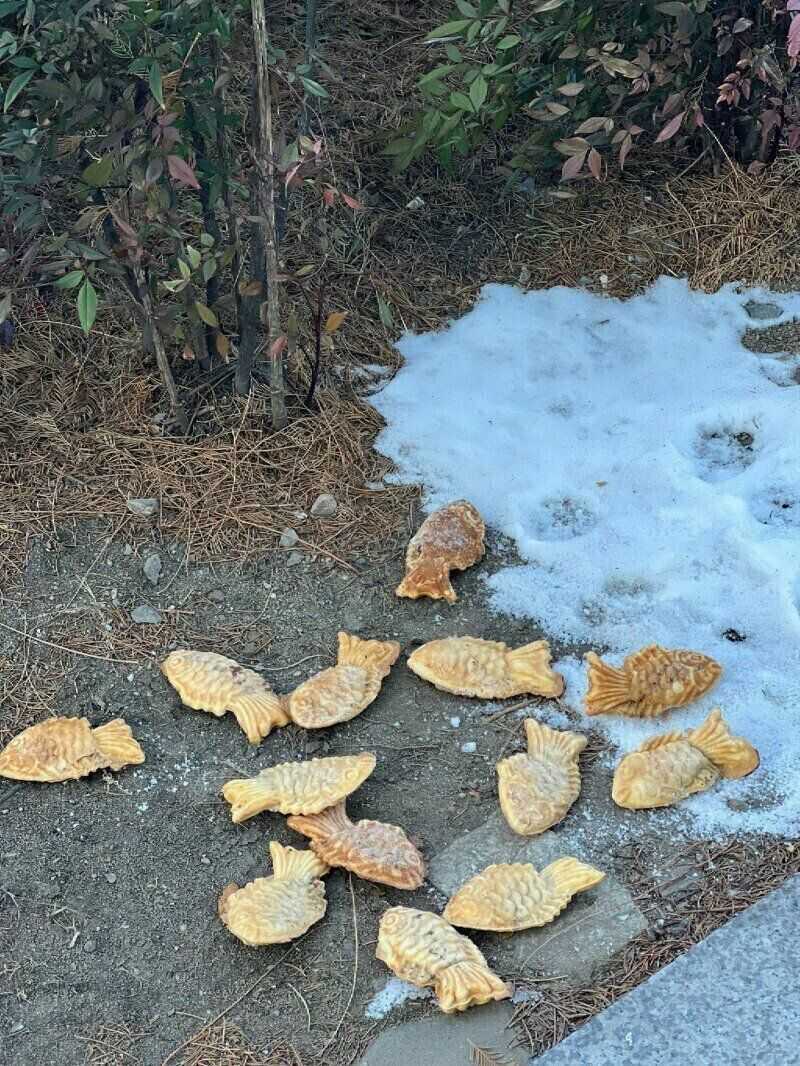 0a49f9cd890338d46dc19887c65ccee528260eac59fadbf087add750acaeeb3249bbd41d1833510ecdce4e56fc21cf76985197db158695f653d05ae2ca12e90c