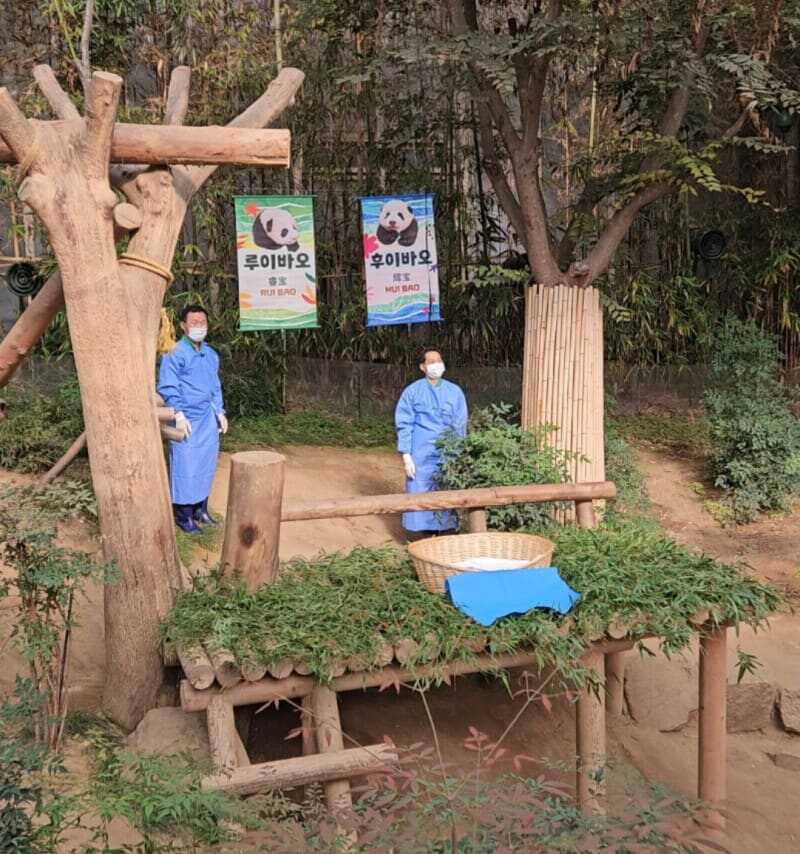 0ad187b35bd4298a7b73f9aa55d710bc08ae10e06480c7b7eabb3abb16a6da757d43895df140e6ccb2ec9e948569fe15b99acf9c2435335543664f73a8162b41