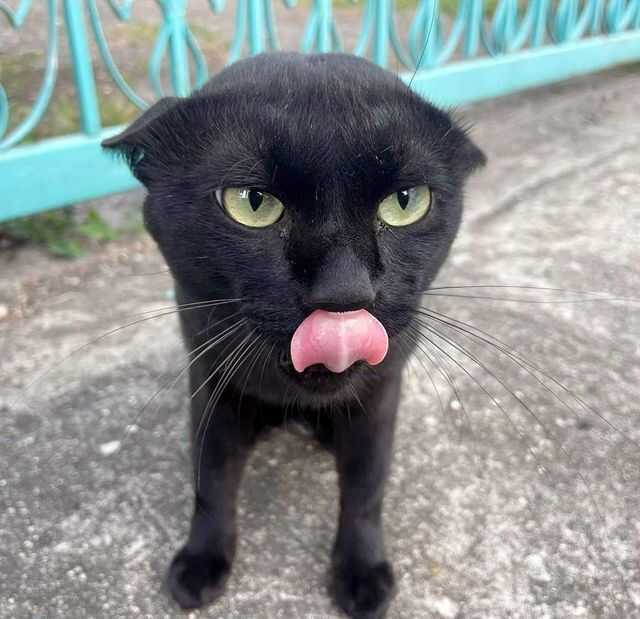 0b871069c2e21e4ef65f176e8e44681369e271505ead3f64c744122cc869d168218fd6c8af7beac585a83c9db093aeda5604d684f441cca54393f81410de2ada