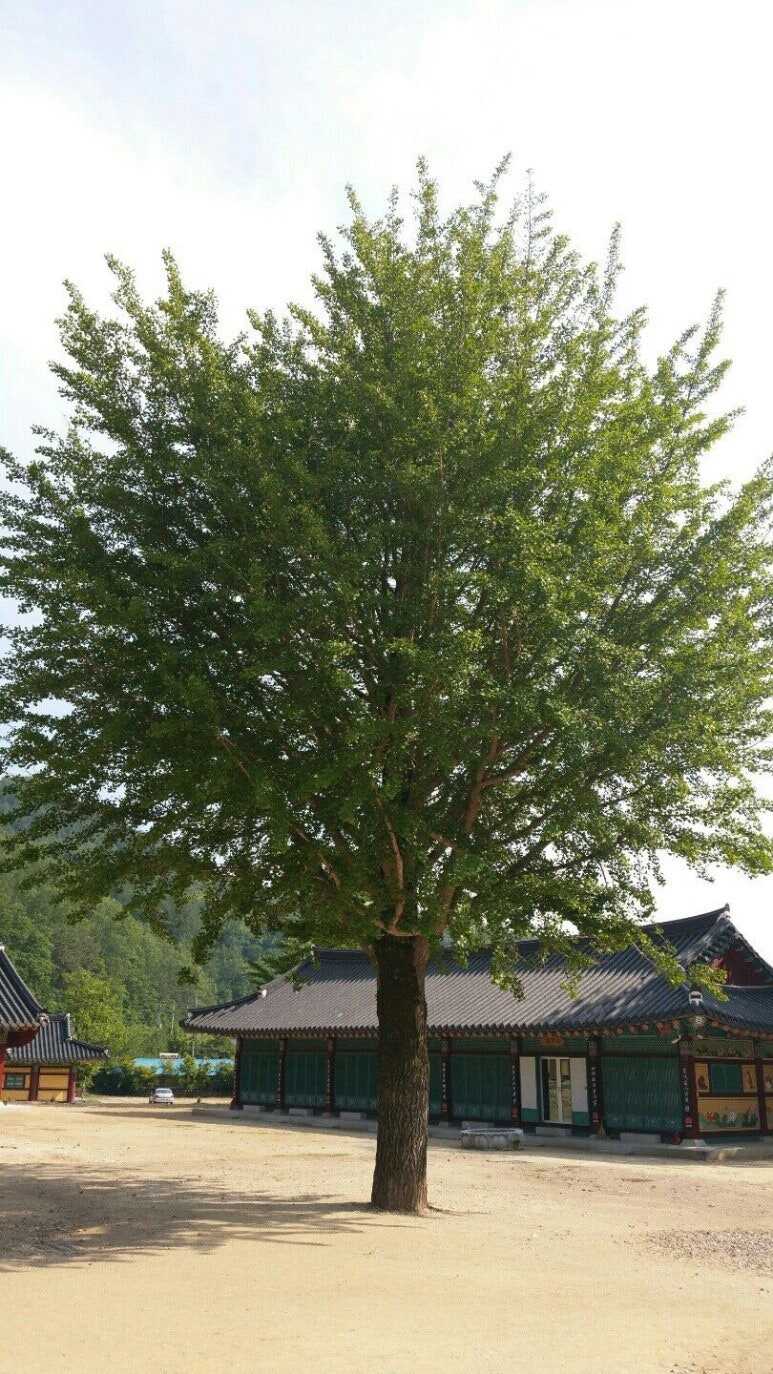 0c08601e0d7f54ce534e819167bd6273b58482920dc3266c4477704c50f91d94bcf1239a1b42c474754d203d4d6150fbe69cfce8c5d0af71c6d0f6836d345a1a