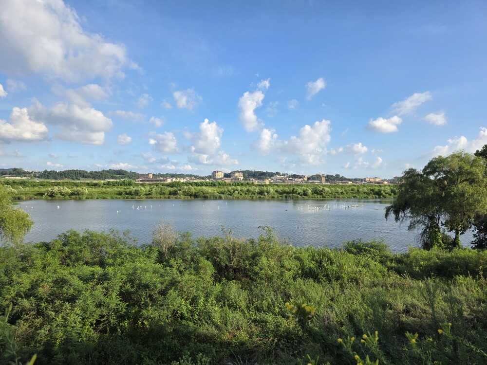 0cb50cf2a9d8543001167d182244e110009c127120b7869603618d69b74be211a67cd6d37bea65807c545465a86a4f7173874e1e5261e4f61846445f9a297fe2