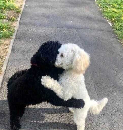 0cca816f384bf757ba4ef1c235fe575c22867683c468335b665650e112ca83e5d2e59434703b4233aebcaa0230626e51c03fb49bb7a812ca534dac167d20f8eb