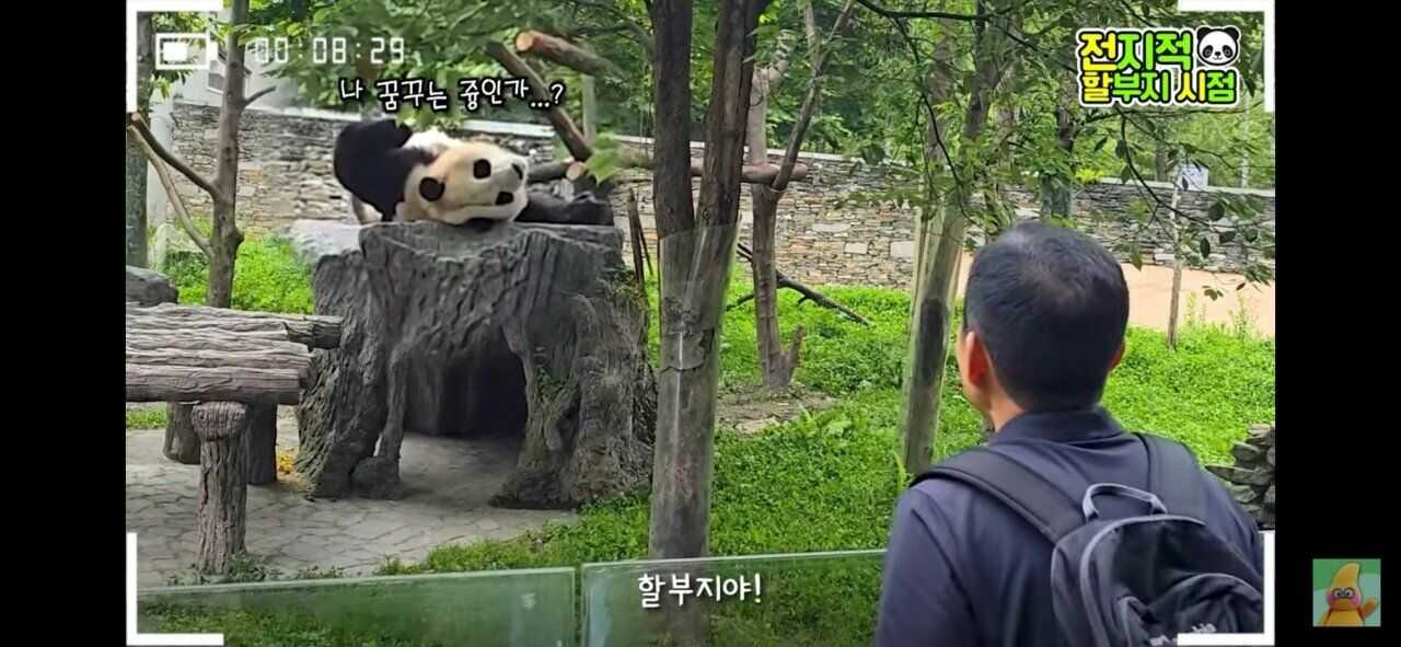 0d518a867af806c6320ccb5fb789116a481bcd14e79822b5035d4c61758a37f587a752a4b0875484fa73076ec3539372ac2ecdab83be5d6916b85ea3de95ea51