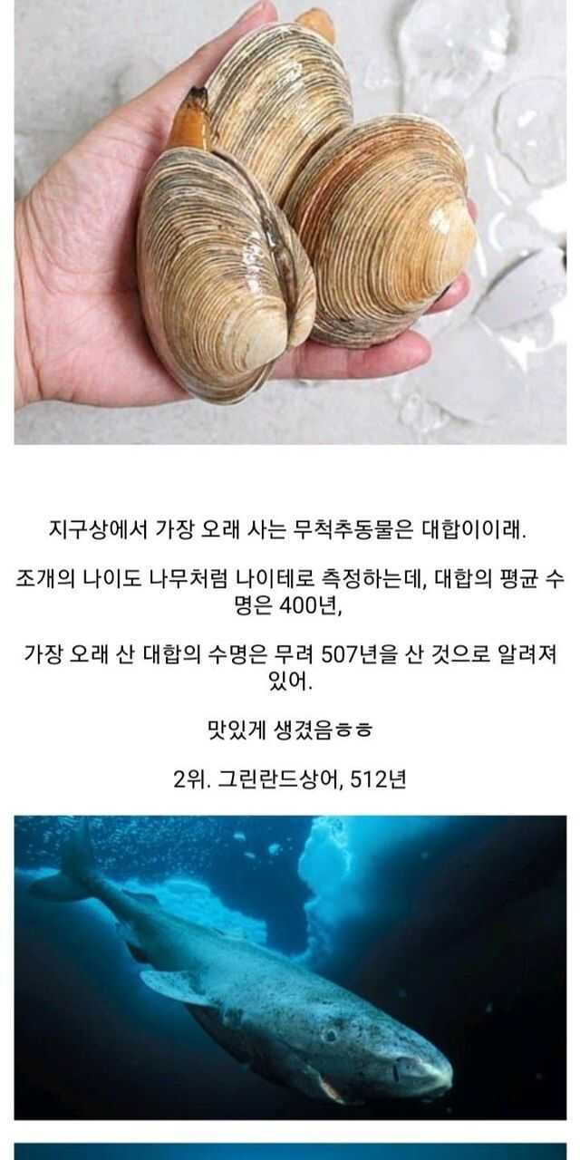 0da0d4fd13a0c9ea278a6a8dfc6e8e8684a8a27b96caa9f9a05c80ac8c507826f0cda830e93fad1e82bb754ee5cc6ea1606d74ee43cd2958b4ea55b80b49c65a