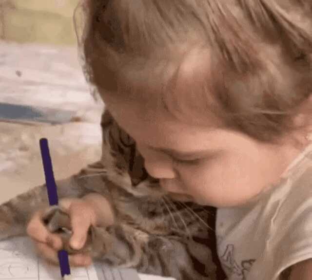 0e1509e418ae6b9fc85e7b98b39ec994405c968bada7237c3a6a81e2331de7820a5b0a27dcf87025a77a836570e7b19f83fe85fa63f4e9c1e57182b3cd54e8cc