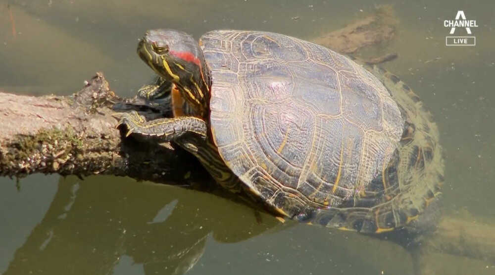 0e85258ee35dd9e808933f2ea2123057622300b5cc2044acc6907c5508f1fc39281c91a41242a3d63a6cc9a0c8847f70a3829fa8a3b91764db8d30ac0cef680e