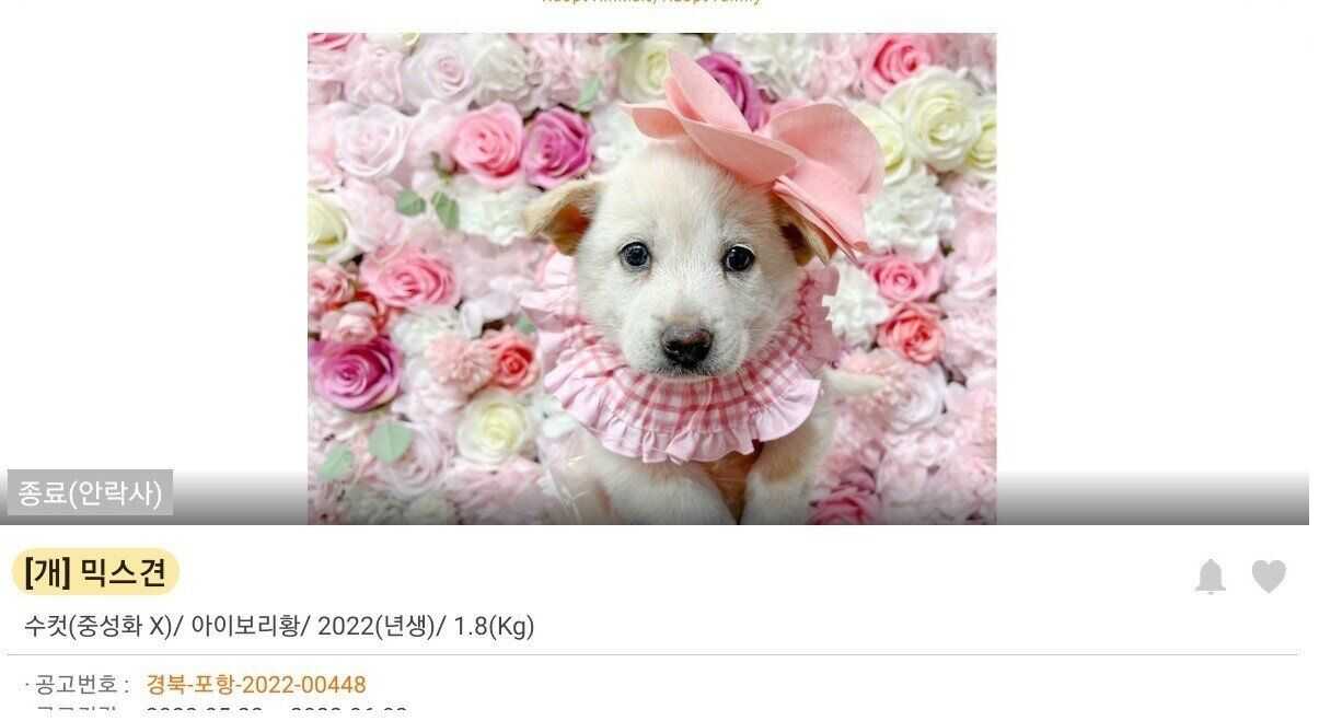 0e90eedd48b89632467c0514460cb7a8479f9012730fea163653a83e97c09d7549cbed01ae2e426ef13da61d119fb02c7ecfcc765bf27628a5ce2361be1f3ac1