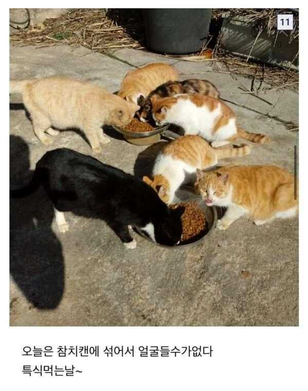 0f495f03de40f96f24455b6b4855c87423ca2d9ac5cf1af50cebb285d3b4e632f0d553d88500a34de9df0e4809840965a74c7ae6e65af9a9cf5fa78151d33c74