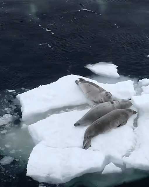 106a6dd47c8f23dfe93a04a7bc988d4a86683475d7e15d72493683a67dc3838c2429a0b1225ef25598a6e6d48e571ad4a2a9110a214e607cca97f01b97905ac4