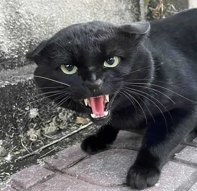 1076fa93bdd5cccbbcc932bee33b6d67e1b090d9b848c050b24411924b7768f412c7d6a748dc3f705e892542aa14742aa94e52fec084f83380b51e12708dbf36