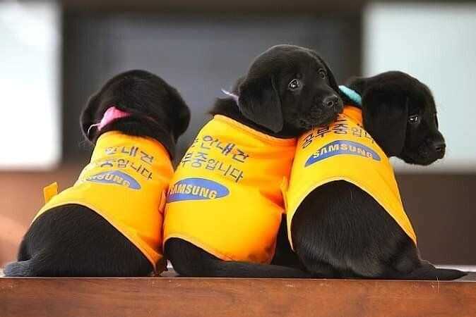 10c66fa157f8c34980d5d1a6df0162c40dfe1bb68ecf4d45e1f4fd93afd301517d4f400f3221925f9cb86f06266f3f45f6f0ada363088b8d03d56468278ad4e1