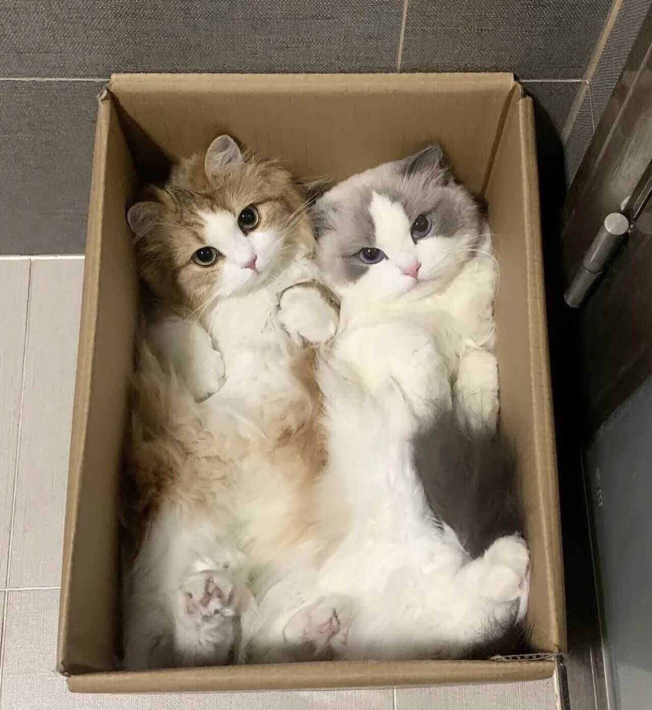 12abdf08401b87078759581334d614ba347fa09d1867ed4ec573202aa353d4f671879ab05cf235a269f3ffc727e8f321a7dee343c5ccaabb993a6bb9474570eb