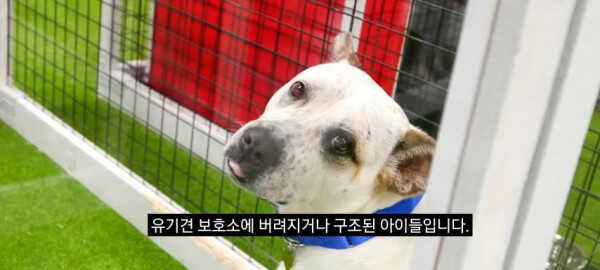 134d50a5b03da40ecec326ecde575a917a6a0528eba654964332cbb02692be63754654d1655d74e1b2f6046c56e8d1c0a8908c3a3040dc0090c37da97c969639