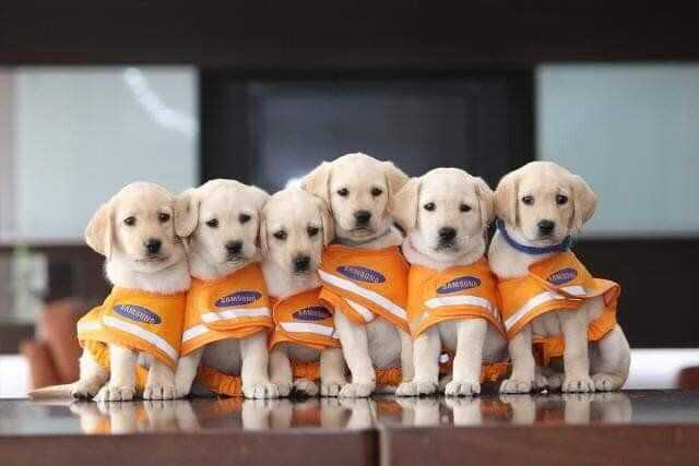 13acd7cd5bf9c0bccbcab2b2866e249c9be97d0d1f8e599b9c001b72e7e9d1f8b12b226cf8139bba92a847841c8742ca44ab1d5b3b852faafc66a4ba8be58441