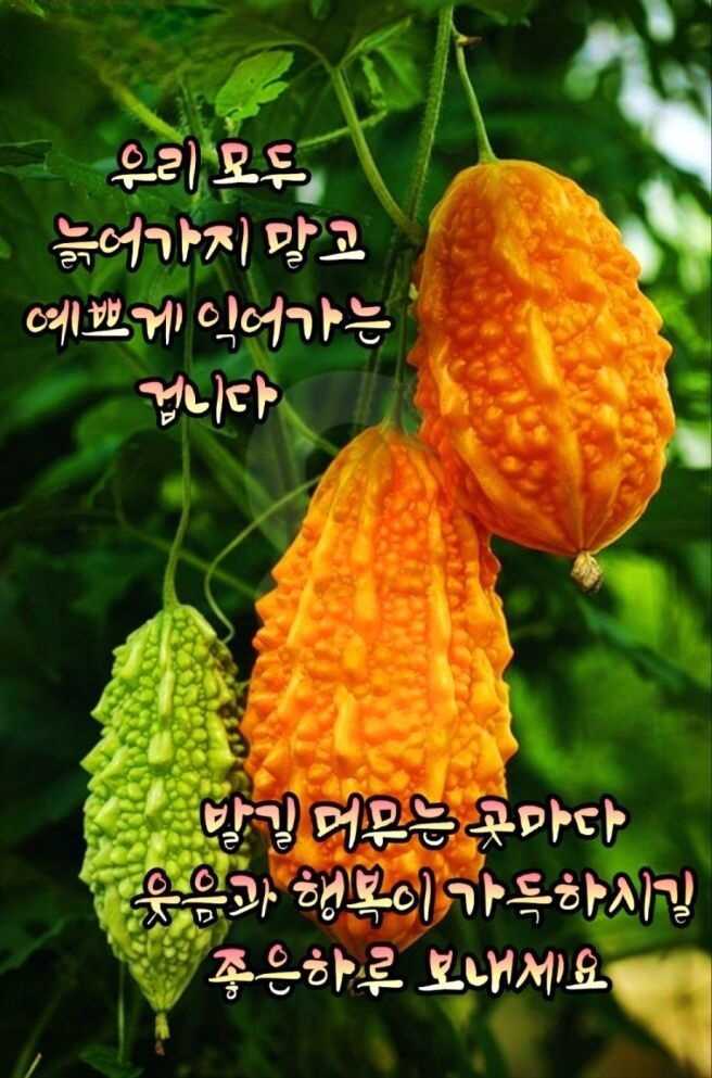 13b8c70aa00fe33309b3a7e0d26ed1028e2afe5489efb9a7c32f112554fd4c17eb4436bea92edacc6726e77b56ed82ba9d1071012fea52a540e52f70432ea6aa