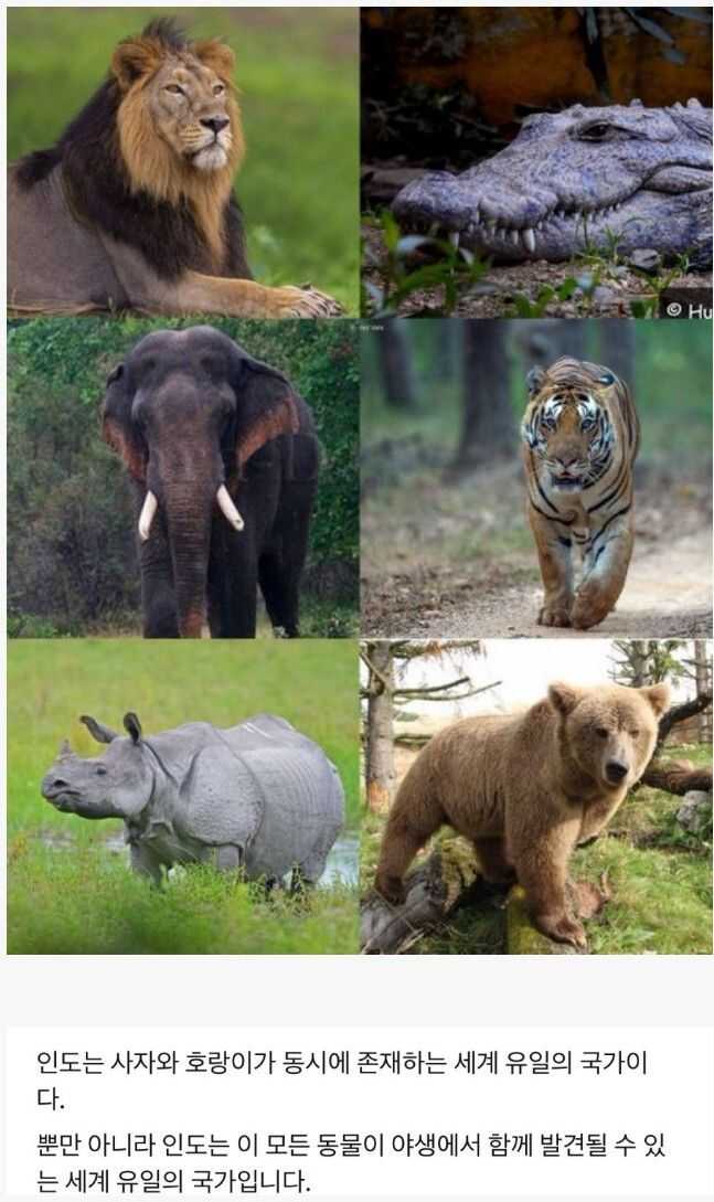 140b198639796d0a4e64d17515b6f8706730926ff7a0af72465709ea2bfaddd002df7ee982d48e007361957063731928188de53056ca4e072c42d2aa51fc0694