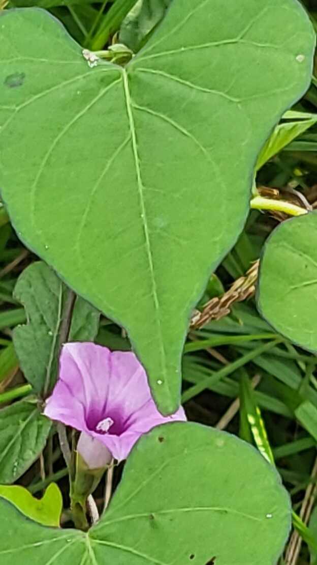 15ce0d5168d1dab2c9fc0bad148c16df8065ec63049cc15d3ad833e3b6d7b9d01bb5b1ec7e01ded3bbc1350cce185d0df926964e05163ff02e2183c0c133793b