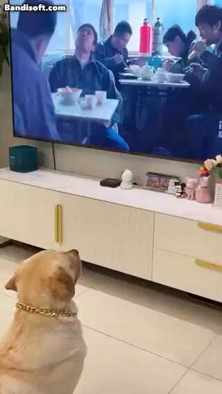 16e0e8c302fcf96a1ae3425d6f9cb32e378b7ea59a13211ae81abd2a09793f625bb91fb7f09e303d329a0146a916fdb00afc9825c501d27b2ba5464f7f5d6d51