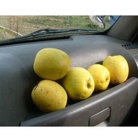 179fca4831cb30d0cc58a9f1933246248bc70a61d8460aaced0a44eb6f6c27db4f8925c877021f66ee649e1e89d551cc00d4cbaf31d6642c0654077ab11406ff