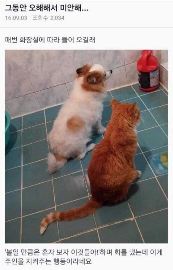 18b10dd93756119d64596f9391cb951742c001fa9f82eaaa8458c85d0f650b25692dc7b0082cd2177c802ce5d81e63770b12a211212c89109a27af0b61a170b6