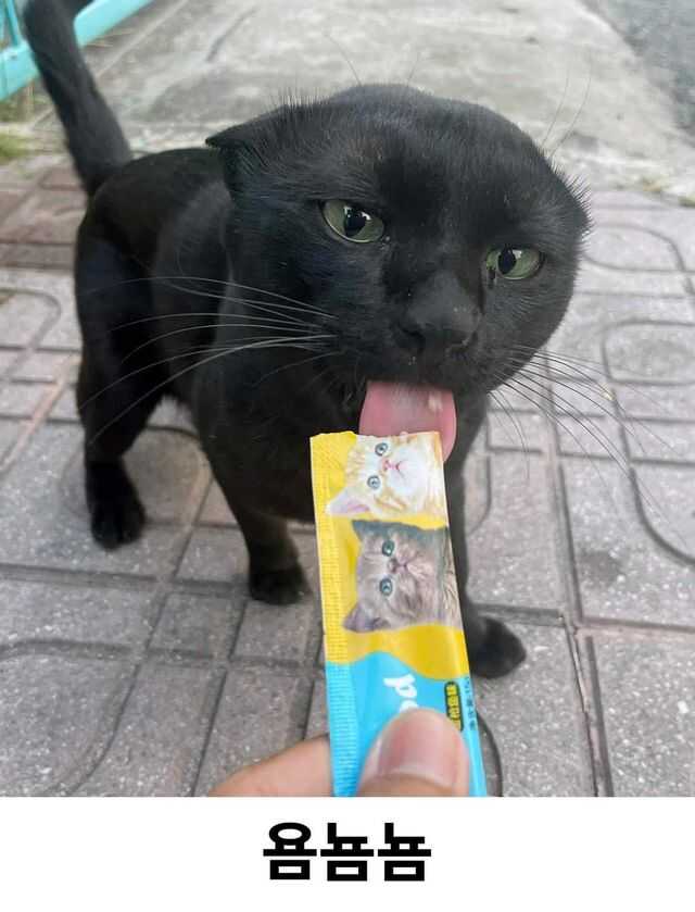 195c3a0ed034ad5402651add6f73ca07eb7639ff04d9e8f6ffb71db5fdb33f18c660c2bf52a7498ac8bb6cf2ffafb04fbca1bc5167a8ee1bf30ceb69362619bb