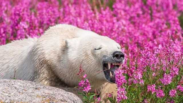 1a20de6b9381c1f4a813949398b1a07a8f34bc09b9e1f0e0ae5e85c85f7a9bc6a2aeeb9ec8606868caa2f027b62423f5b18b479909eb393841d7788df8c7b25e