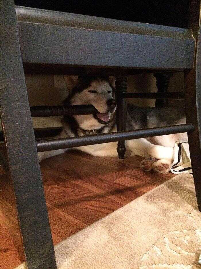 1be1ee2d698a766092921eaac8babd2f005ff35cebcbadfb8c810316b55eca192ded9a00448762ee725e7b982e6f98ccacabd5e4655fdafe69051338b53209e7