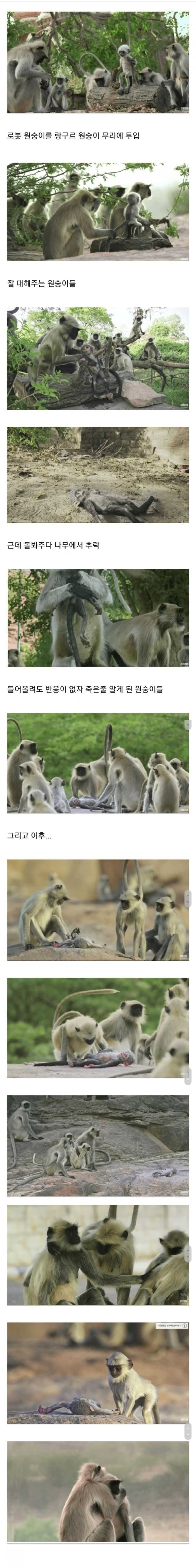 1c6f755c5285fcda0a8ff1d97598f5d7737b88d371b2880ab3c505a64041eb0b26a91f2b03cfb88e8e92b9d53bb504a7895783a3d108319fa2800e3db7d383da