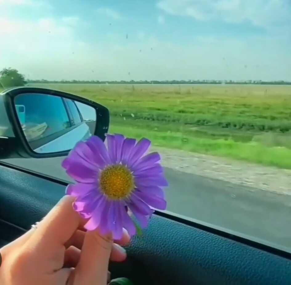 1d009e0655e1f00573f48b55a09586add54dcf4d78e66bfccfab798c16a0eade303af20c4d037723365f16ee737a1aaa05946d329ac04a7bdef55d236ffaec8e