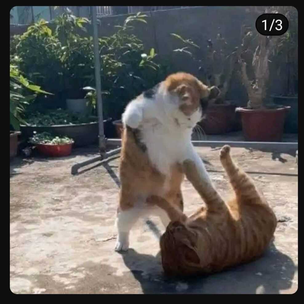 1f661e5aa33783ac6eba5589a079b2295d4e63359eb69e15d659bb7ccd9bbef8dba168578fe24a5380bb0bb3579e31b17f2393f528045be6ef0b3385ea6e200e