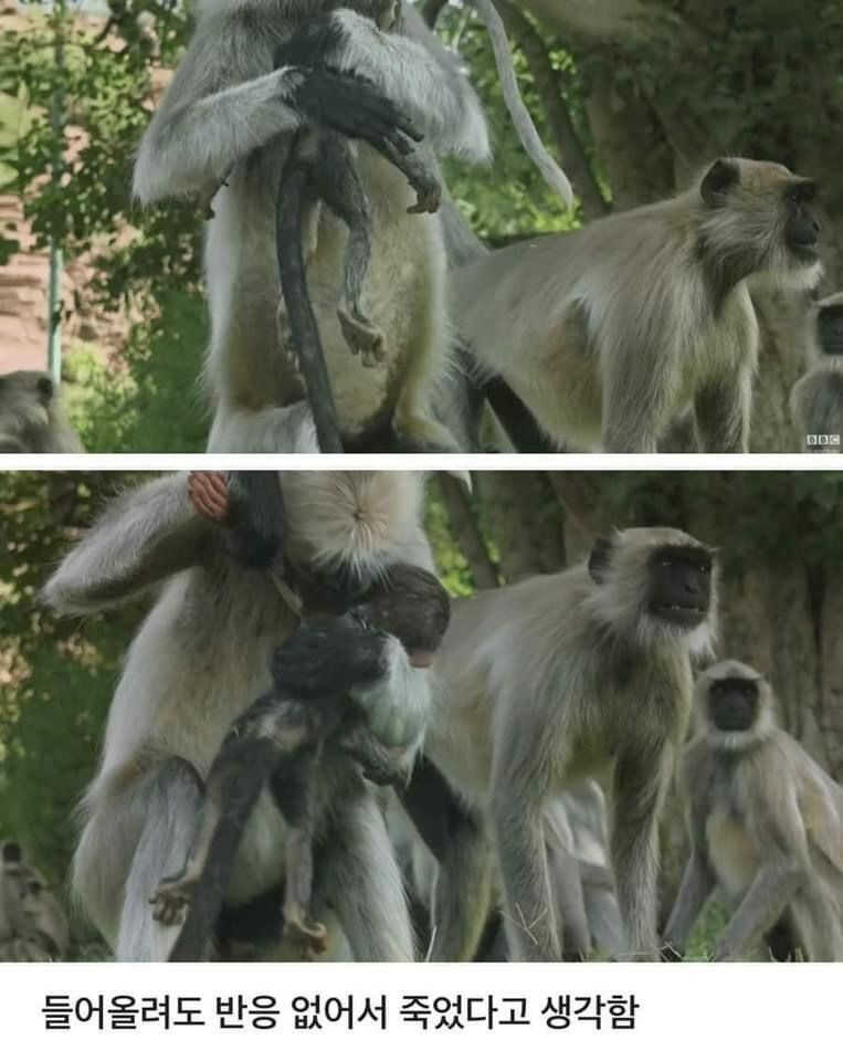 1f9178b0296dcb10747693bd4150b63c95efd32999f780efcec2b4c152ab77cfe91594271142d0ada0f162218c1d2596b81121bb264e5eddf7accf7f45eebc62