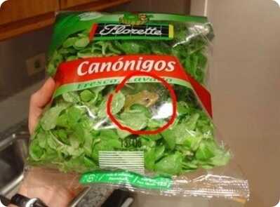 2074790c2441212d5bdbbb207b45aa2b0e746e873b6c74f8a499c1508a46054bc600c8879b70b917fa20b7077ebe1866678db0671236cf59c5cc60cb364932c9