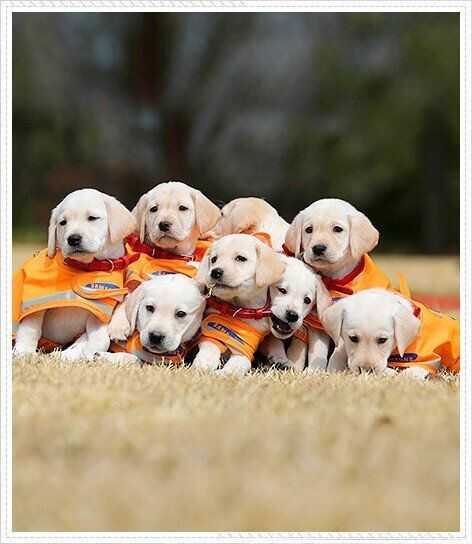 2173baaec88da99f10314b3f8fc44701575768a7d1cec8752ff198f917347ea7a5f29632f5052ade042eaeb67e50414a35a547aa3487cccd4de22594c37ec586